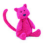 Cordy Roy Cat